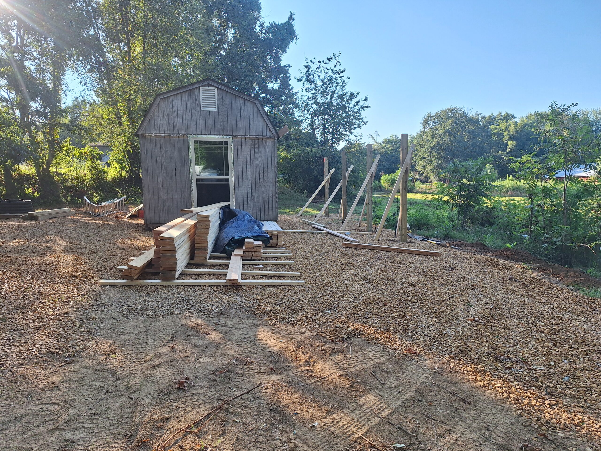 Shed Carport 20250809 080200