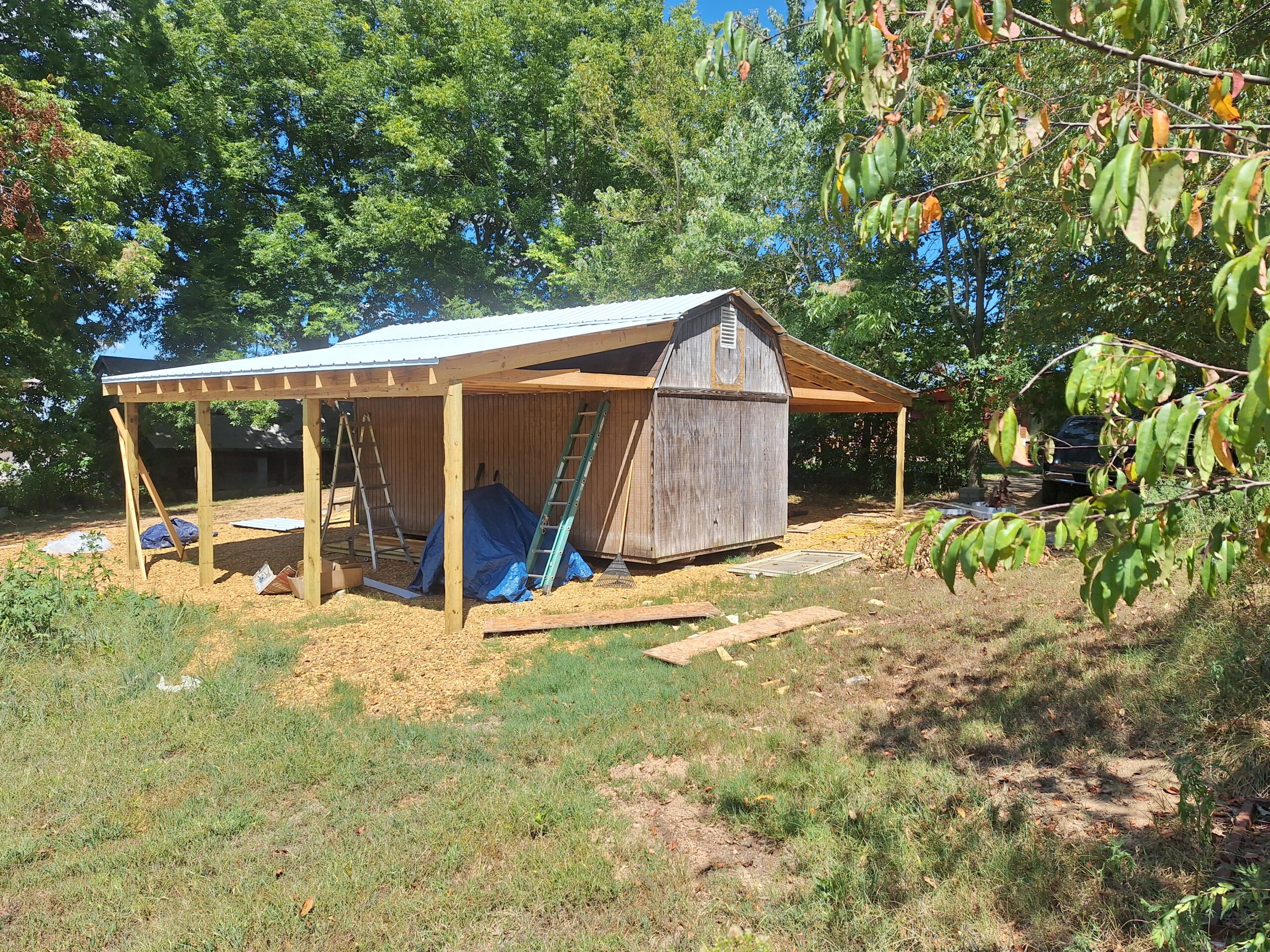 Shed Carport 20250826 120746