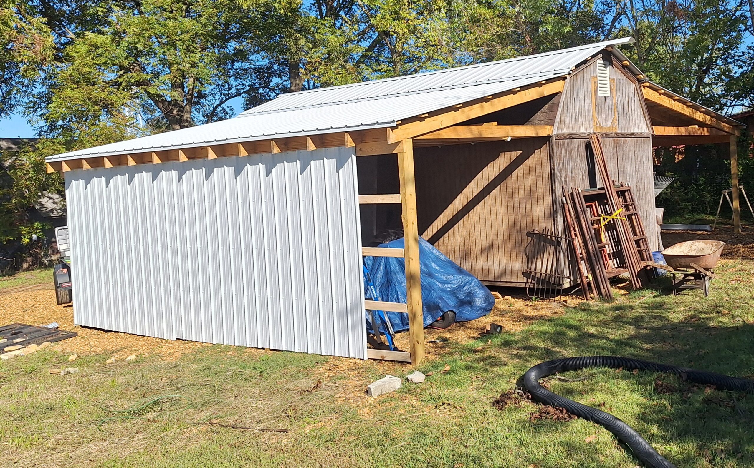 Shed Carport 20251021 101618